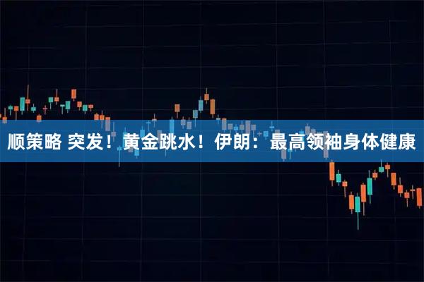 顺策略 突发！黄金跳水！伊朗：最高领袖身体健康